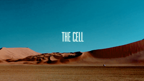 thecell_1