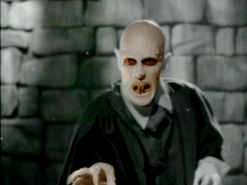 Midnightmadnessescaping